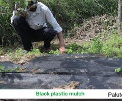 House for sale in Peerumadara